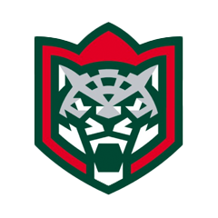 «Ак Барс» потерпел пятое поражение подряд, в серии буллитов уступив «Автомобилисту»